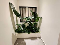 Clover Way (D20), Apartment #520904171